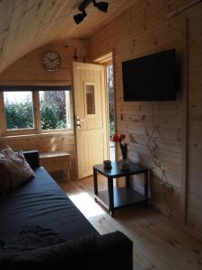 TV a/nebo společenská místnost v ubytování Polderlodge