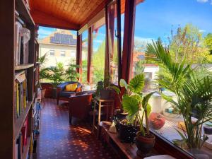 Habitación con una gran ventana con plantas. en Sashalom Apartman en Budapest