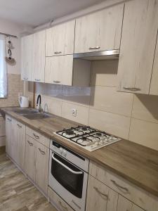 a kitchen with a stove and a sink at Pod Lasem in Nowe Miasto Lubawskie