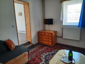 TV a/nebo společenská místnost v ubytování Pension Lípa