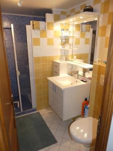a bathroom with a toilet and a sink and a shower at Les Mimosas in Biot