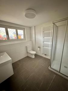 a bathroom with a toilet and a shower at Haus Christania, Obergeschoss, Unterbäch Wallis in Unterbäch