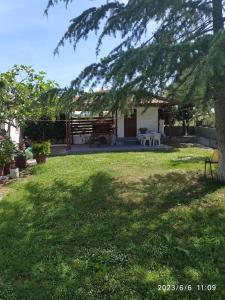 a yard with a picnic table and a tree at Kavala,Garden House in Kokkinókhoma