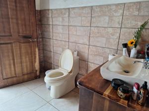 a bathroom with a toilet and a sink at VILLA ESMERALDA in Siquirres
