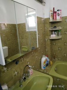 ein Badezimmer mit einem grünen Waschbecken und einem Spiegel in der Unterkunft Kavala,Garden House in Kokkinókhoma