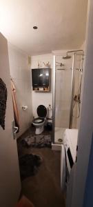 a small bathroom with a toilet and a shower at Vöckla - Appartement in Timelkam