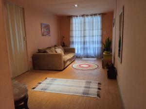 - un salon avec un canapé et un tapis à l'étage dans l'établissement O melhor da região!, à São João de Meriti