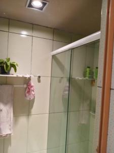 una ducha con una puerta de cristal y una planta en un estante en O melhor da região!, en São João de Meriti