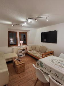 ein Wohnzimmer mit einem Sofa und einem Flachbild-TV in der Unterkunft Bergblick - b53207 in Königstein an der Elbe