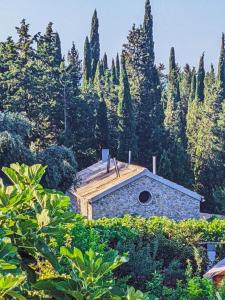 a building in the middle of a forest of trees at Linda House Corfu 2 in Áyioi Dhéka