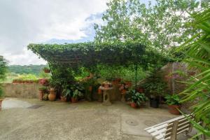 un montón de macetas en un jardín en Ferienwohnung Rosa in der Residenza dei Piaceri Perduti, en Lastra a Signa