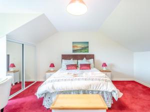 a bedroom with a large bed and red carpet at 1 Bed in Swimbridge LANEE in Swimbridge