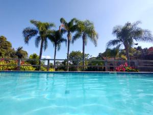 una piscina con palmeras en el fondo en Hotel Spazio, en Ivoti