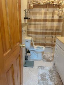 a bathroom with a toilet and a shower curtain at 2 Bedroom Bliss in College Point in College Point