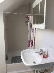 ein Bad mit einem Waschbecken und einer Dusche in der Unterkunft Fewo Linda 2 in Gunzenhausen