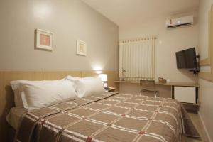 Schlafzimmer mit einem Bett und einem Schreibtisch mit einem TV in der Unterkunft Castelo Inn Hotel in Goiânia