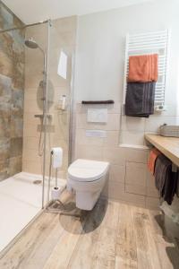 a bathroom with a toilet and a shower at Chambres D'hôte Le Cèdre Bleu in Saint-Jean