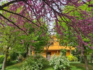 a house with purple flowering trees in front of it at Il parco holiday 2 L.T. in Fonte Nuova