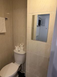 a bathroom with a toilet and a mirror at Sandpiper Guest House in Brighton & Hove