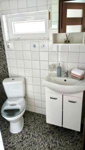 a bathroom with a toilet and a sink at Jasień 77 A in Czarna Dąbrówka