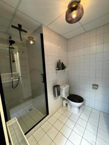 a bathroom with a shower and a toilet in it at Studio 43 in Hollum