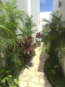 un jardín con palmeras y una pasarela en Quinta Santa Anita, en Playa del Carmen