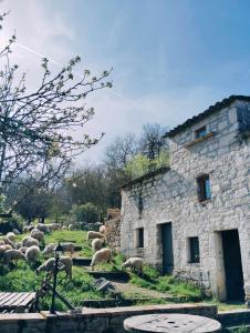 een kudde schapen die grazen in een veld naast een stenen gebouw bij Ferme de Lacassagne in Vazerac