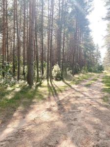 Príroda v okolí dovolenkového domu