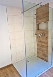 a shower with a glass door in a bathroom at modernes Landhaus Charlie - Nähe Halle, 4 Zimmer in Petersberg