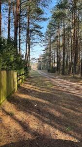 Príroda v okolí dovolenkového domu
