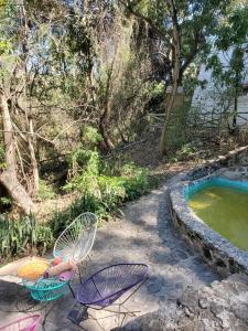 Zahrada ubytování Glamping Cabaña de Granja El Sol Teques y Naturaleza