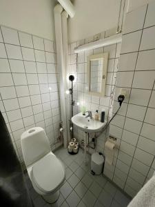 y baño con aseo y lavamanos. en Lejlighed med udsigt til Frederiksberg have, en Copenhague