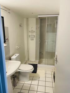 a bathroom with a shower and a toilet and a sink at Studio de 42m2, vue imprenable in Tournon-sur-Rhône