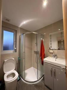a bathroom with a shower and a toilet and a sink at Lovely flat in Brockley, SE4 in London