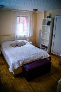 ein Schlafzimmer mit einem großen Bett und einem Fenster in der Unterkunft NIKI Apart in Sofia