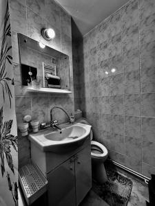 a bathroom with a sink and a toilet at Apartament ASK HOME in Slănic-Moldova