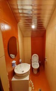 uma casa de banho com um WC branco e um lavatório. em Villa 3 chambre em Yerevan