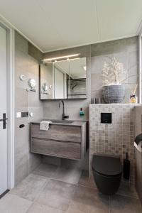 W łazience znajduje się umywalka, toaleta i lustro. w obiekcie Prachtige vakantievilla Burdaard w mieście Birdaard