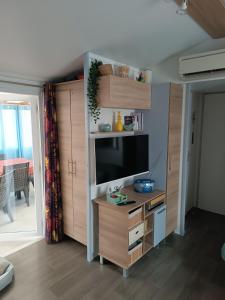 Kuchyň nebo kuchyňský kout v ubytování Mobile Homes Sous le Soleil