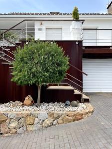 a tree sitting on a pile of rocks next to a building at Casa vistas al mar con piscina y barbacoa in Benicàssim