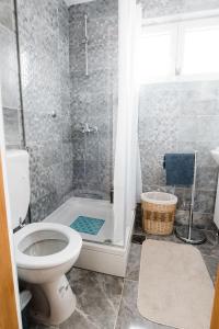a bathroom with a toilet and a shower and a tub at Apartment Jazz in Požega