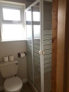 a bathroom with a toilet and a glass shower at Riverside in Doonbeg