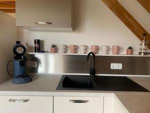 a kitchen with a sink and a counter with coffee mugs at Ferienwohnung Leonardo in Badem