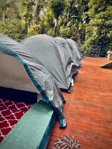 Fotografie z fotogalerie ubytování EMs Campsite v destinaci Jambur