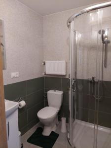 ein Badezimmer mit Toilette und Dusche in der Unterkunft Magnolia Gospodarstwo Agroturystyczne in Kazimierz Dolny + 28 Fotos