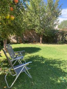蒂諾加斯塔的住宿－Urqu-Pacha Alojamiento，坐在苹果树下草上的椅子