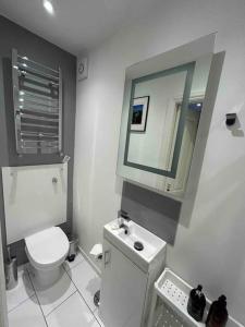een badkamer met een toilet, een wastafel en een spiegel bij Guest Suite Enfield in Enfield