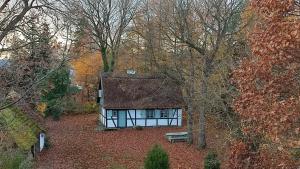a small house in the middle of the forest at Małanka - kaszubska chëcz in Strzepcz