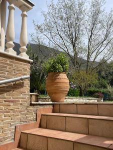 un grand vase assis sur les marches d'une maison dans l'établissement Olive Garden Studio, à Mandrotopos
