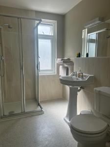 a bathroom with a shower and a toilet and a sink at En-Suite rooms, Colyford in Colyford